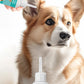 Pet Ear Wash Drops – Ear Care for Cats & Dogs