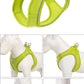 Adjustable Reflective Dog & Cat Harness Leash Set – Small & Medium Pets