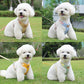 Puppy Harness & Leash Set – Breathable Vest for Small & Medium Pets