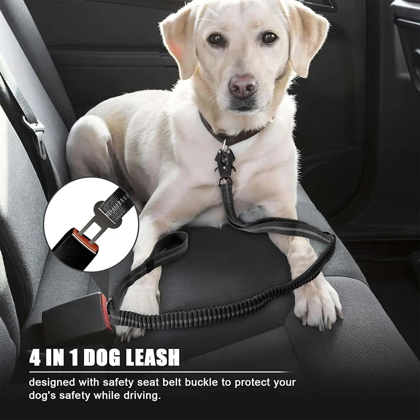 Reflective Shock-Absorbing Bungee Dog Leash – Heavy Duty with Car Seatbelt
