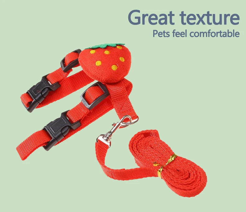 "Rabbit & Cat Harness and Leash Set