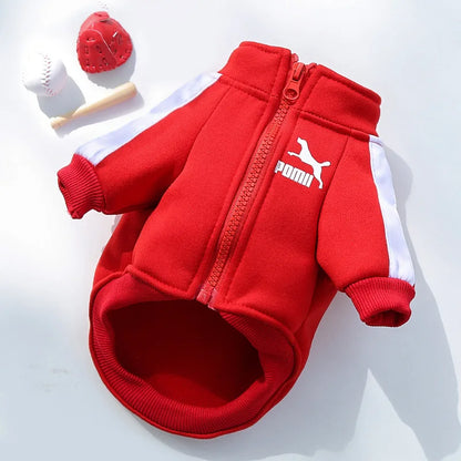 Baseball Dog Jacket – Winter Coat for Small & Medium Dogs