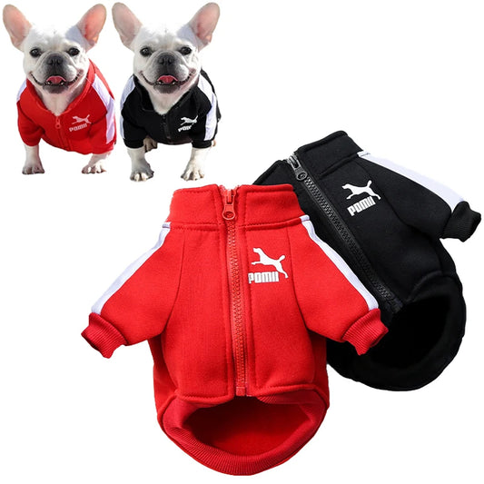 Baseball Dog Jacket – Winter Coat for Small & Medium Dogs