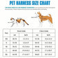 Pet Dog & Cat Harness Leash Set – Breathable Vest for Small & Medium Pets