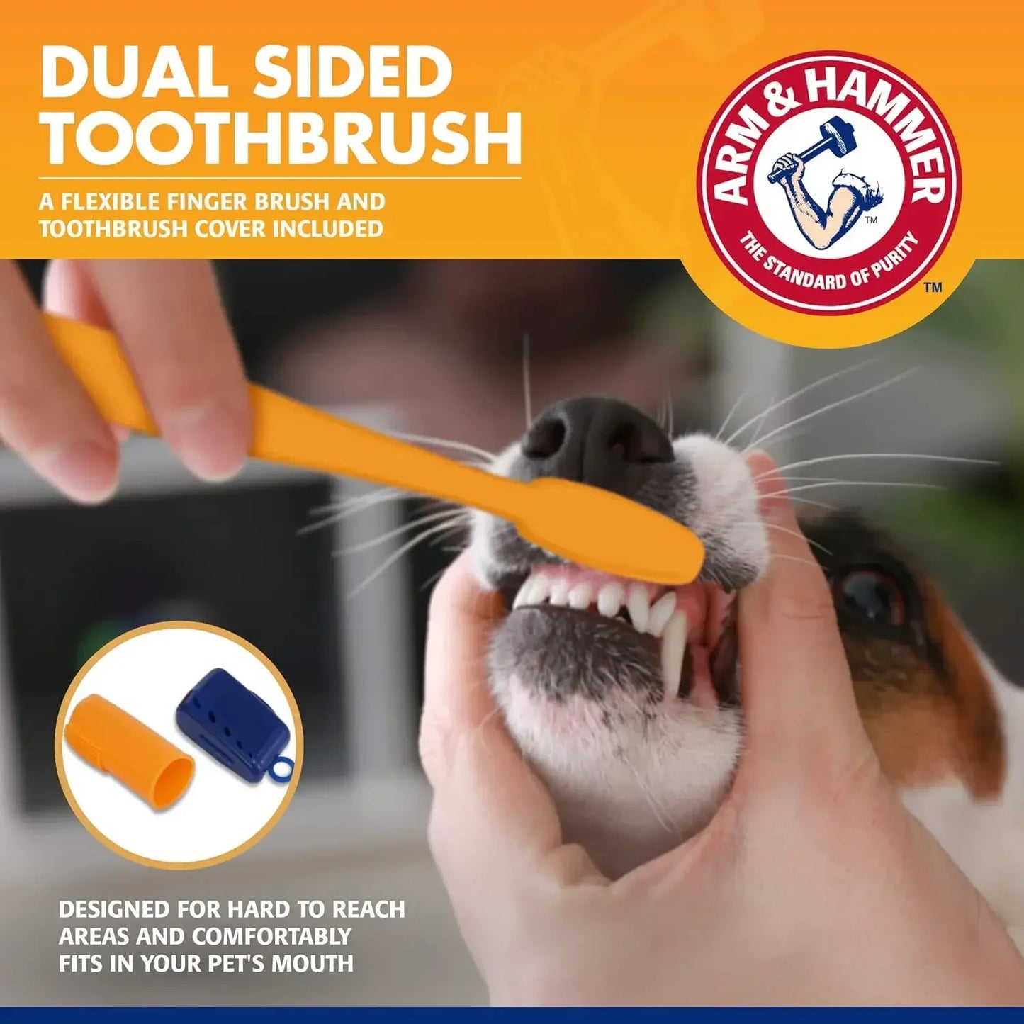 Pet Dental Care Kit – Toothbrush & Toothpaste for Dogs & Cats