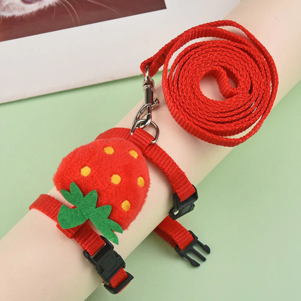 "Rabbit & Cat Harness and Leash Set