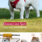 Adjustable Reflective Dog & Cat Harness Leash Set – Small & Medium Pets