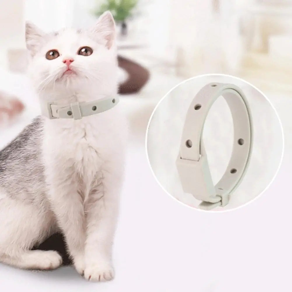 Flea & Tick Collar for Cats and Small Dogs – 8-Month Protection