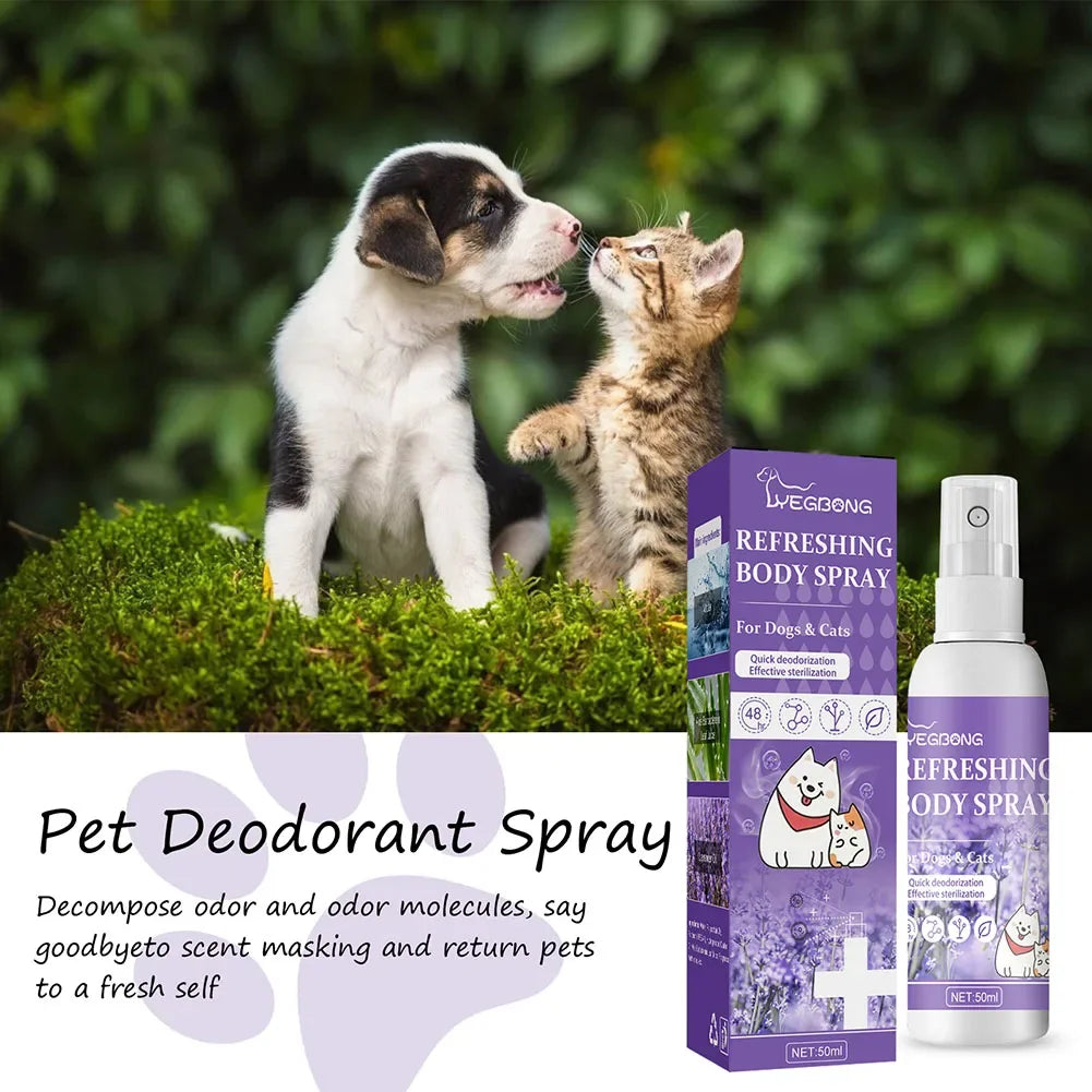 Lavender Oil Dog Deodorizer Spray – Long-Lasting Odor Remover for Cats & Dogs