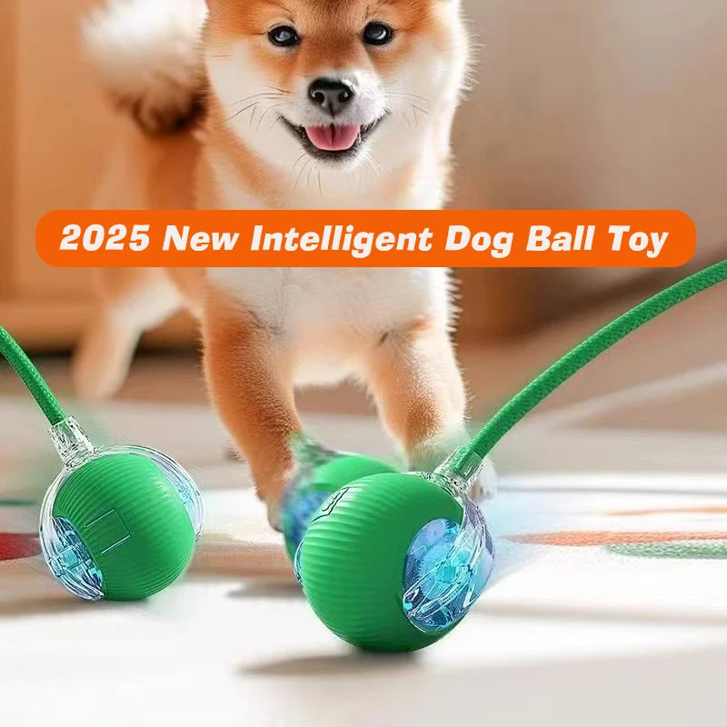 Smart Interactive Dog Ball – Automatic Rolling & Rechargeable