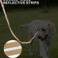 Reflective Shock-Absorbing Bungee Dog Leash – Heavy Duty with Car Seatbelt