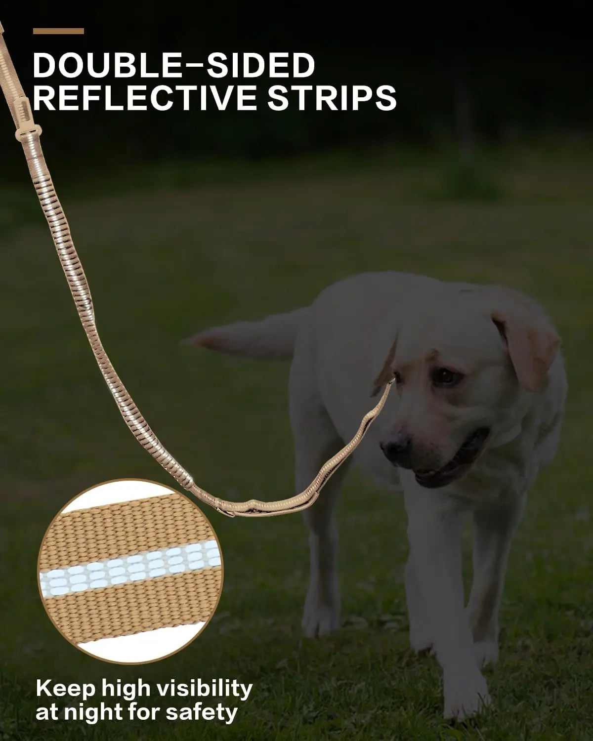 Reflective Shock-Absorbing Bungee Dog Leash – Heavy Duty with Car Seatbelt