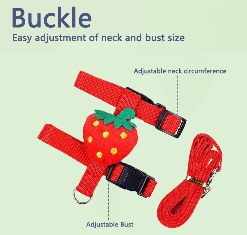 "Rabbit & Cat Harness and Leash Set