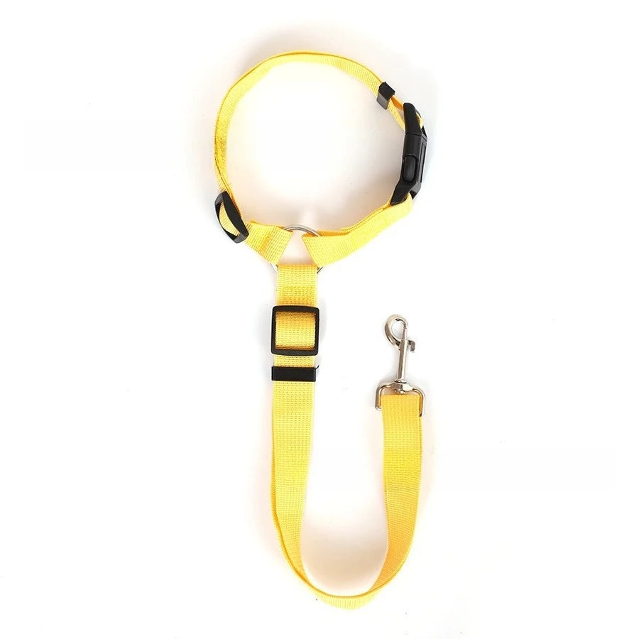 2-in-1 Pet Car Seat Belt & Leash – Adjustable Safety Harness