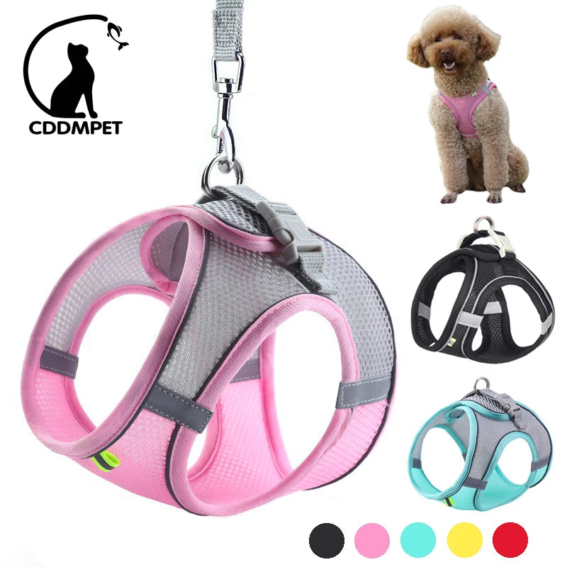 Adjustable Dog & Cat Harness Leash Set – Small Breed Vest