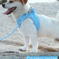 Adjustable Reflective Dog & Cat Harness Leash Set – Small & Medium Pets