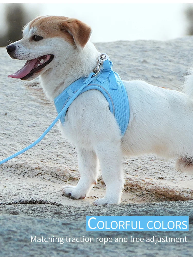 Adjustable Reflective Dog & Cat Harness Leash Set – Small & Medium Pets