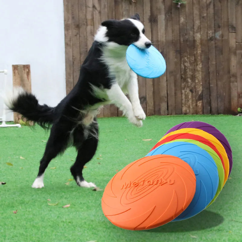 OUZEY Bite-Resistant Dog Flying Disc – Outdoor Interactive Toy