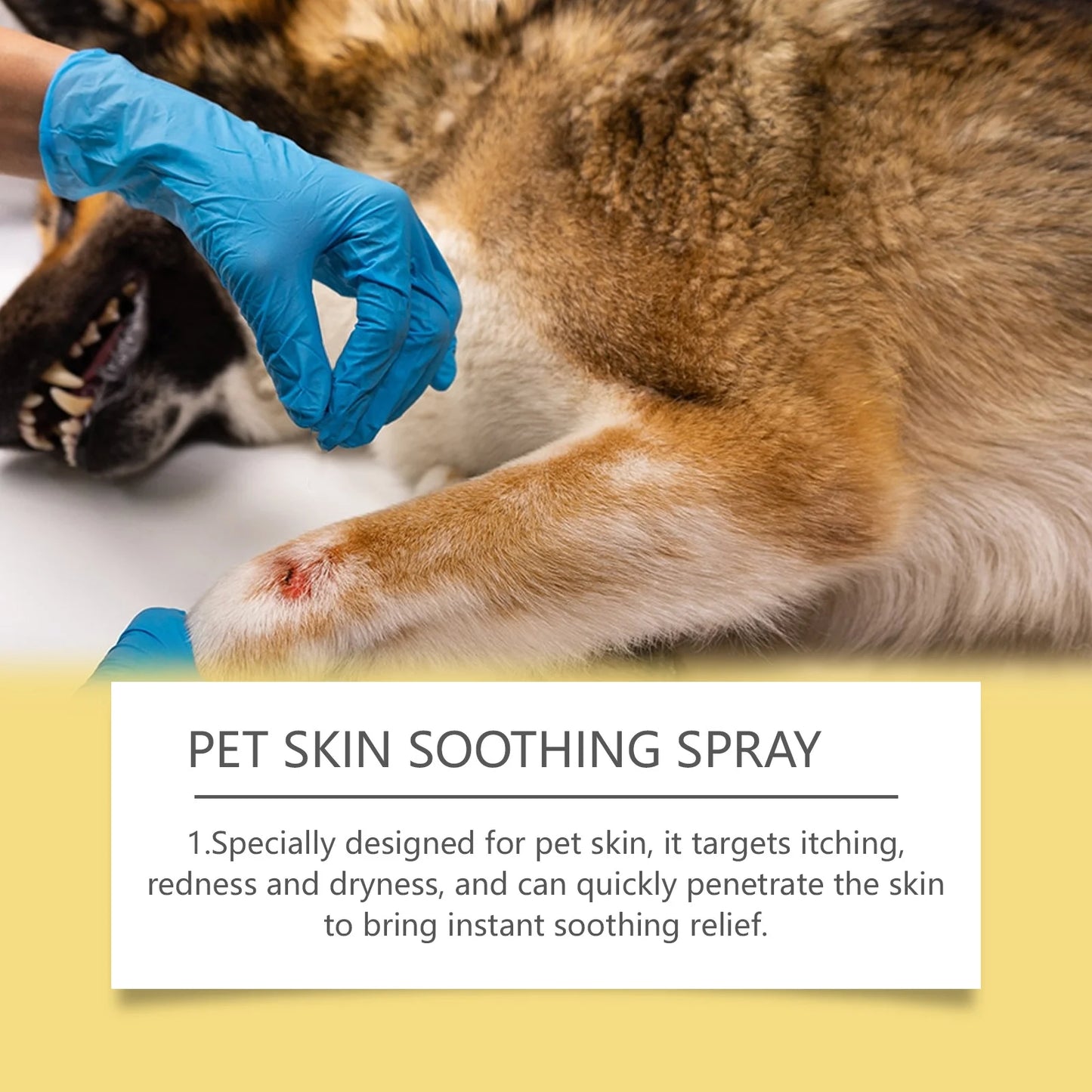 Pet Skin Care Spray – Flea & Lice Relief for Dogs and Cats