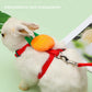 "Rabbit & Cat Harness and Leash Set