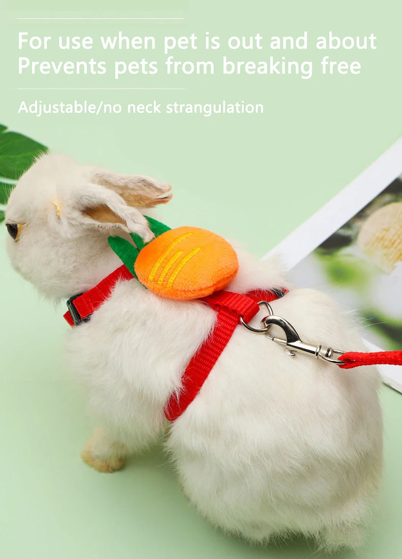 "Rabbit & Cat Harness and Leash Set